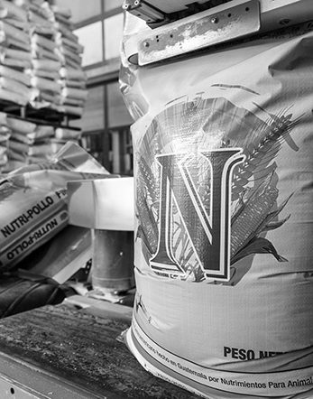 NUTRIANSA Gallery 2