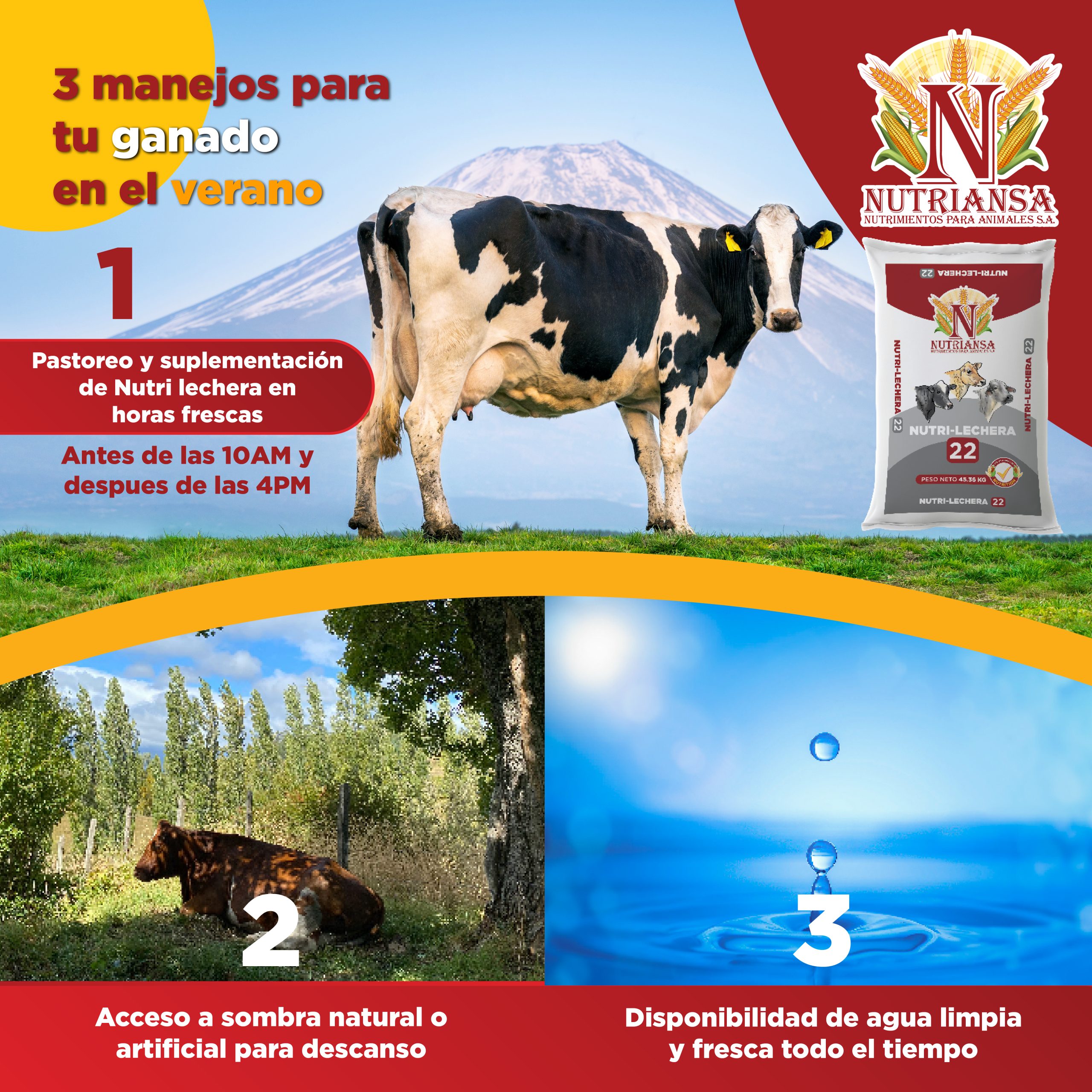 3 manejos para tu ganado en el verano - Nutriansa