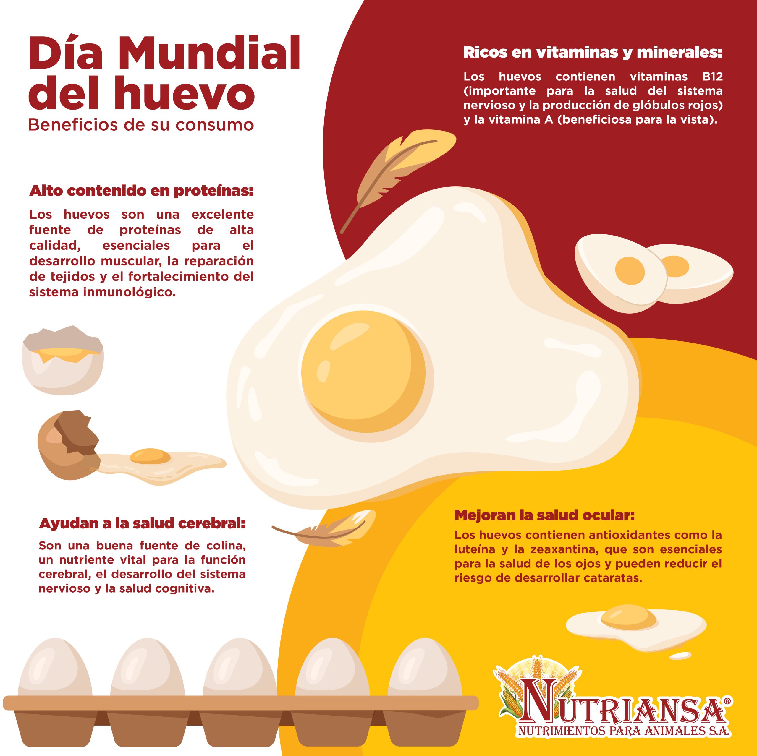 Día Mundial del Huevo - Beneficios - Nutriansa
