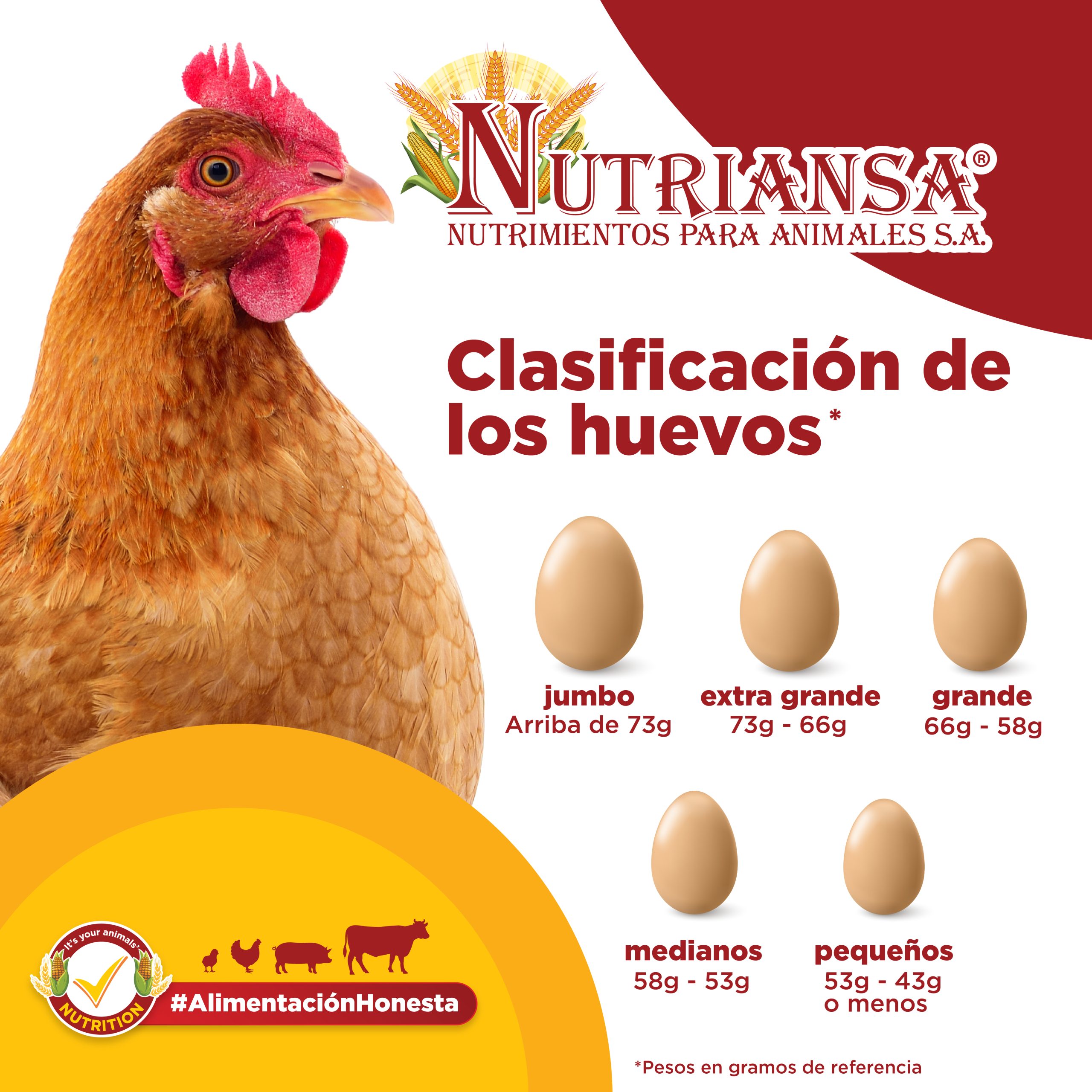 Clasificación de los huevos - Nutriansa